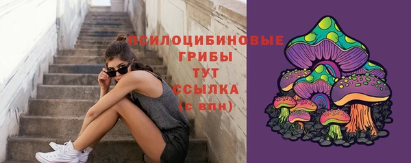 мяу мяу кристалл Алексин