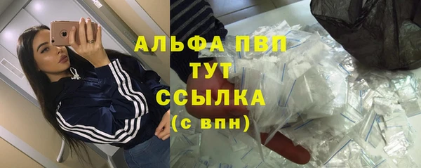 гидра Алексеевка