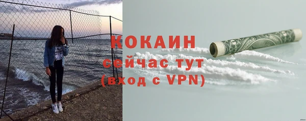 тгк Алзамай