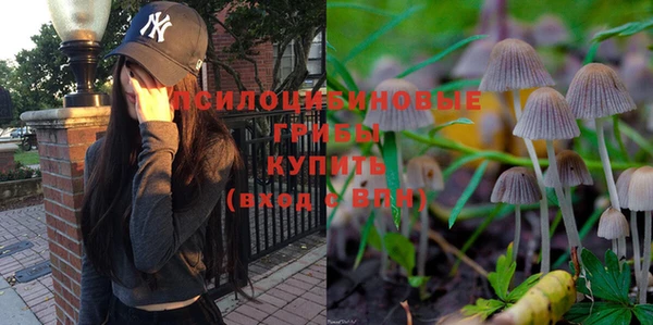 тгк Алзамай