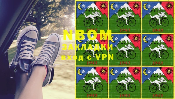 гидра Алексеевка