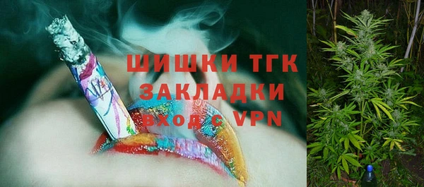 тгк Алзамай