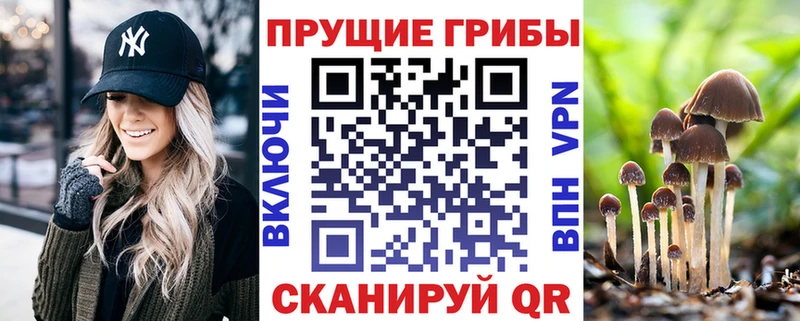 Псилоцибиновые грибы Psilocybine cubensis Анива